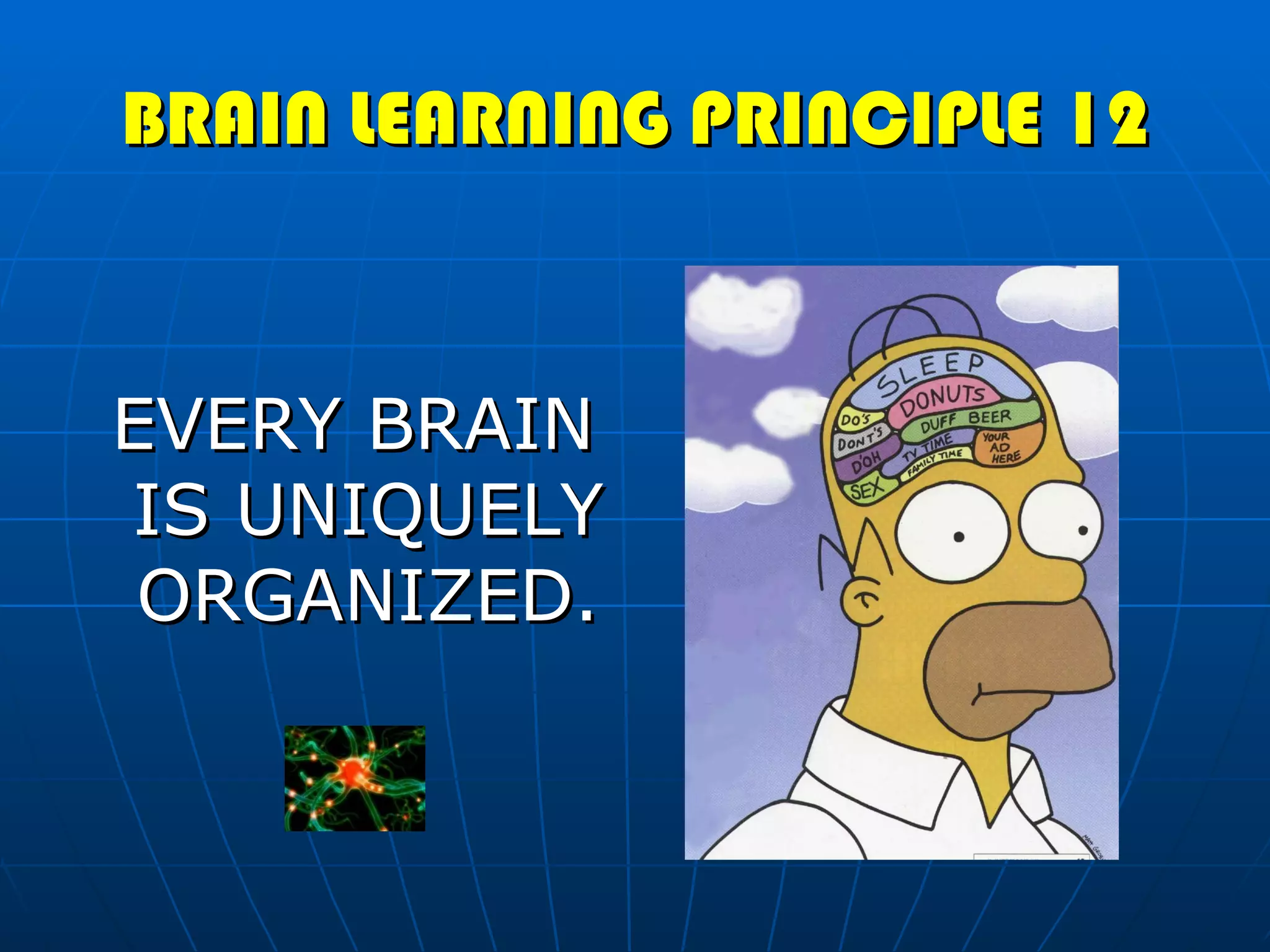 BRAIN LEARNING PRINCIPLE 12 EVERY BRAIN IS UNIQUELY ORGANIZED. 