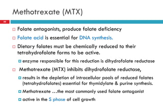 Methotrexate (MTX)
50
 Folate antagonists, produce folate deficiency
 Folate acid is essential for DNA synthesis.
 Dietary folates must be chemically reduced to their
tetrahydrofolate forms to be active.
 enzyme responsible for this reduction is dihydrofolate reductase
 Methotrexate (MTX) inhibits dihydrofolate reductase,
 results in the depletion of intracellular pools of reduced folates
(tetrahydrofolates) essential for thymidylate & purine synthesis.
 Methotrexate …the most commonly used folate antagonist
 active in the S phase of cell growth
 