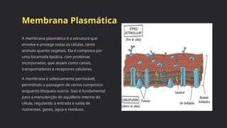 01-caracteristicas-gerais-da-celula-e-suas-estruturas.pptx