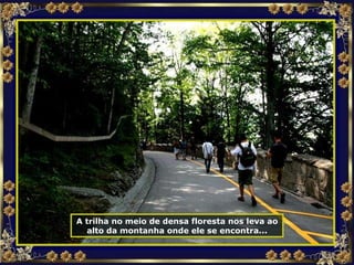 A trilha no meio de densa floresta nos leva ao alto da montanha onde ele se encontra... 