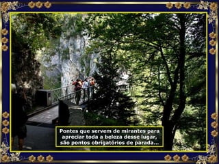 Pontes que servem de mirantes para apreciar toda a beleza desse lugar, são pontos obrigatórios de parada... 