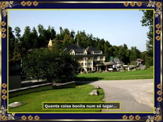 Quanta coisa bonita num só lugar...   