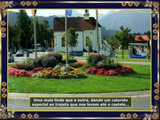 Uma mais linda que a outra, dando um colorido especial ao trajeto que nos levam até o castelo... 