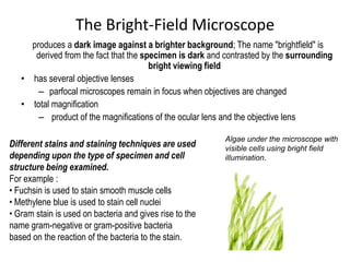 01-CellBio-Microscopy-HVD.pdf