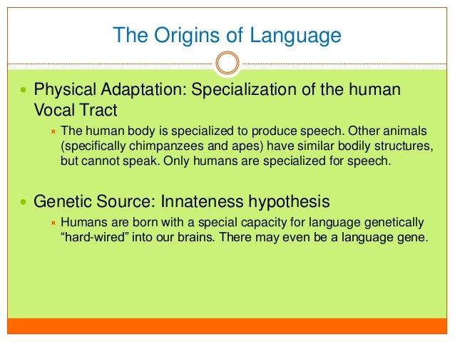 Origins of Language and Language and the Brain