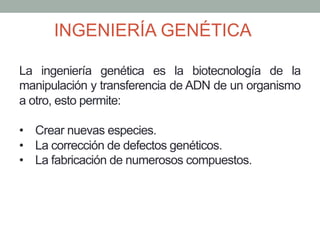 INGENIERÍA GENÉTICA 
La ingeniería genética es la biotecnología de la 
manipulación y transferencia de ADN de un organismo 
a otro, esto permite: 
• Crear nuevas especies. 
• La corrección de defectos genéticos. 
• La fabricación de numerosos compuestos. 
 