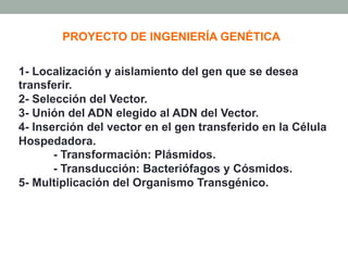 PROYECTO DE INGENIERÍA GENÉTICA 
Ø Pasos: 
1- Localización y aislamiento del gen que se desea 
transferir. 
2- Selección del Vector. 
3- Unión del ADN elegido al ADN del Vector. 
4- Inserción del vector en el gen transferido en la Célula 
Hospedadora. 
- Transformación: Plásmidos. 
- Transducción: Bacteriófagos y Cósmidos. 
5- Multiplicación del Organismo Transgénico. 
 