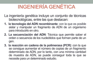 INGENIERÍA GENÉTICA 
La ingeniería genética incluye un conjunto de técnicas 
biotecnológicas, entre las que destacan: 
1. la tecnología del ADN recombinante: con la que es posible 
aislar y manipular un fragmento de ADN de un organismo 
para introducirlo en otro. 
2. La secuenciación del ADN: Técnica que permite saber el 
orden o secuencia de los nucleótidos que forman parte de un 
gen. 
3. la reacción en cadena de la polimerasa (PCR): con la que 
se consigue aumentar el número de copias de un fragmento 
determinado de ADN, por lo tanto, con una mínima cantidad 
de muestra de ADN, se puede conseguir toda la que se 
necesite para un determinado estudio. 
 