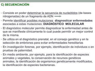 C) SECUENCIACIÓN 
• Consiste en poder determinar la secuencia de nucleótidos (de bases 
nitrogenadas) de un fragmento de ADN 
• Permite identificar posibles mutaciones diagnosticar enfermedades 
asociadas a estas mutaciones: DIAGNÓSTICO MOLECULAR 
• El diagnóstico molecular permite diagnosticar la enfermedad antes de 
que se manifieste clínicamente lo cual puede permitir un mejor control 
de la misma. 
• Se utiliza en el diagnóstico prenatal, en el consejo genético y en la 
selección de embriones para evitar enfermedades hereditarias 
• En investigación forense, por ejemplo, identificación de individuos o en 
pruebas de paternidad. 
• En medio ambiente, por ejemplo, para la identificación de especies 
animales y vegetales, la conservación de recursos genéticos 
animales, la identificación de organismos genéticamente modificados, 
la identificación de especies bacterianas. 
 