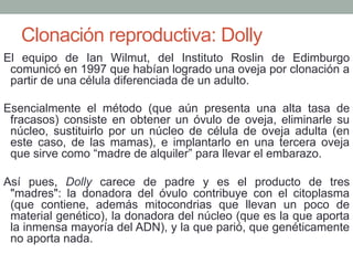 Clonación reproductiva: Dolly 
El equipo de Ian Wilmut, del Instituto Roslin de Edimburgo 
comunicó en 1997 que habían logrado una oveja por clonación a 
partir de una célula diferenciada de un adulto. 
Esencialmente el método (que aún presenta una alta tasa de 
fracasos) consiste en obtener un óvulo de oveja, eliminarle su 
núcleo, sustituirlo por un núcleo de célula de oveja adulta (en 
este caso, de las mamas), e implantarlo en una tercera oveja 
que sirve como “madre de alquiler” para llevar el embarazo. 
Así pues, Dolly carece de padre y es el producto de tres 
"madres": la donadora del óvulo contribuye con el citoplasma 
(que contiene, además mitocondrias que llevan un poco de 
material genético), la donadora del núcleo (que es la que aporta 
la inmensa mayoría del ADN), y la que parió, que genéticamente 
no aporta nada. 
 