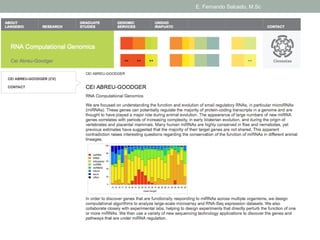 E. Fernando Salcedo, M.Sc 
 