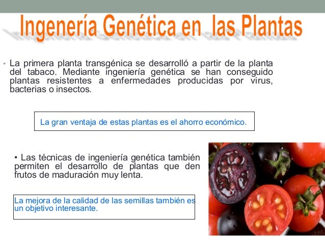 Clase 01 Biotecnologia Ingenieria Genetica