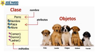 01 clases y objetos, POO Visual Basic .NET