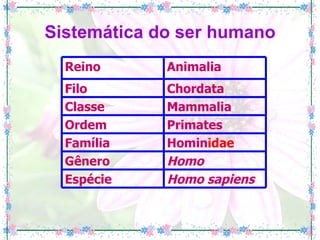 Sistemática do ser humano Homo sapiens Espécie Homo Gênero Homin idae Família Primates Ordem Mammalia Classe Chordata Filo Animalia Reino 