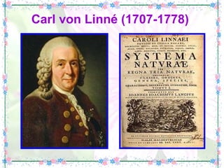 Carl von Linné (1707-1778)   