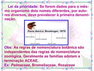   Lei da prioridade : Se forem dados para o mês-mo organismo dois nomes diferentes, por auto-res diversos, deve prevalecer à primeira denomi-nação. Obs : As regras de nomenclatura botânica são independentes das regras de nomenclatura zoológica. Geralmente as famílias adotam a terminação ACEAE. Ex :  Palmaceae , Bromeliaceae,  Rosaceae 