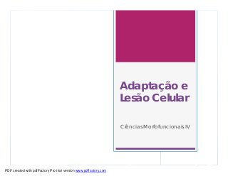 Adaptação e
                                                                   Lesão Celular

                                                                   Ciências Morfofuncionais IV




PDF created with pdfFactory Pro trial version www.pdffactory.com
 