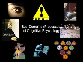 Sub-Domains (Processes)
of Cognitive Psychology
 