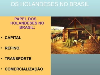 OS HOLANDESES NO BRASIL
PAPEL DOS
HOLANDESES NO
BRASIL:
• CAPITAL
• REFINO
• TRANSPORTE
• COMERCIALIZAÇÃO

 