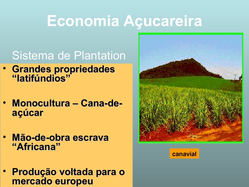 Explique Como Funciona A Economia Dos Arquipélagos Coloniais