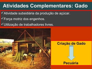 Atividades Complementares: Gado
Atividade subsidiária da produção de açúcar.
Força motriz dos engenhos.
Utilização de trabalhadores livres.
Criação de Gado
Pecuária
 