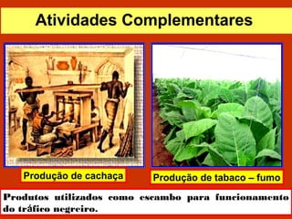 Produção de tabaco – fumo
Produtos utilizados como escambo para funcionamento
do tráfico negreiro.
Produção de cachaça
Atividades Complementares
 