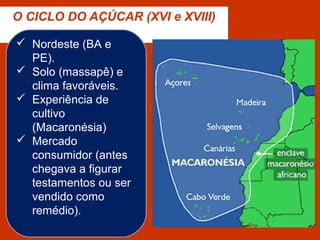 O CICLO DO AÇÚCAR (XVI e XVIII)
 Nordeste (BA e
PE).
 Solo (massapê) e
clima favoráveis.
 Experiência de
cultivo
(Macaronésia)
 Mercado
consumidor (antes
chegava a figurar
testamentos ou ser
vendido como
remédio).
 