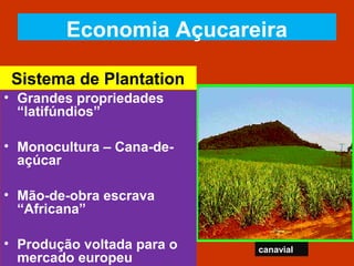 Sistema de Plantation
• Grandes propriedades
“latifúndios”
• Monocultura – Cana-de-
açúcar
• Mão-de-obra escrava
“Africana”
• Produção voltada para o
mercado europeu
canavial
Economia Açucareira
 