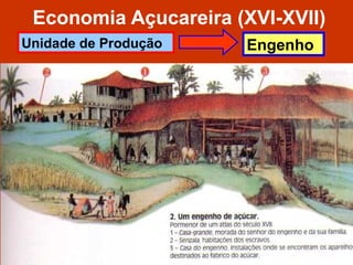 Economia Açucareira (XVI-XVII)
EngenhoUnidade de Produção
 