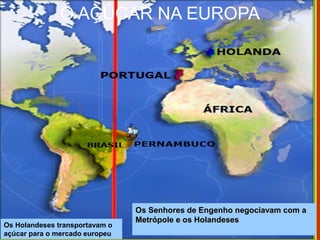 O AÇÚCAR NA EUROPA
Os Senhores de Engenho negociavam com aOs Senhores de Engenho negociavam com a
Metrópole e os HolandesesMetrópole e os Holandeses
Os Holandeses transportavam o
açúcar para o mercado europeu
 
