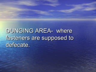 DUNGING AREA- whereDUNGING AREA- where
fasteners are supposed tofasteners are supposed to
defecate.defecate.
 