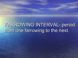 FARROWING INTERVAL- periodFARROWING INTERVAL- period
from one farrowing to the next.from one farrowing to the next.
 