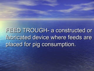 FEED TROUGH- a constructed orFEED TROUGH- a constructed or
fabricated device where feeds arefabricated device where feeds are
placed for pig consumption.placed for pig consumption.
 