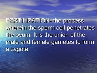 FERTILIZATION- the processFERTILIZATION- the process
wherein the sperm cell penetrateswherein the sperm cell penetrates
the ovum. It is the union of thethe ovum. It is the union of the
male and female gametes to formmale and female gametes to form
a zygote.a zygote.
 