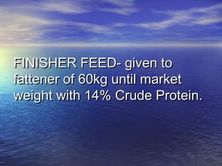 FINISHER FEED- given toFINISHER FEED- given to
fattener of 60kg until marketfattener of 60kg until market
weight with 14% Crude Protein.weight with 14% Crude Protein.
 