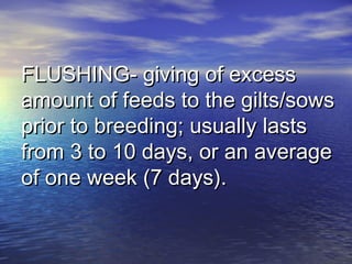 FLUSHING- giving of excessFLUSHING- giving of excess
amount of feeds to the gilts/sowsamount of feeds to the gilts/sows
prior to breeding; usually lastsprior to breeding; usually lasts
from 3 to 10 days, or an averagefrom 3 to 10 days, or an average
of one week (7 days).of one week (7 days).
 