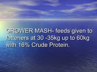 GROWER MASH- feeds given toGROWER MASH- feeds given to
fatteners at 30 -35kg up to 60kgfatteners at 30 -35kg up to 60kg
with 16% Crude Protein.with 16% Crude Protein.
 