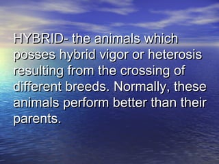 HYBRID- the animals whichHYBRID- the animals which
posses hybrid vigor or heterosisposses hybrid vigor or heterosis
resulting from the crossing ofresulting from the crossing of
different breeds. Normally, thesedifferent breeds. Normally, these
animals perform better than theiranimals perform better than their
parents.parents.
 