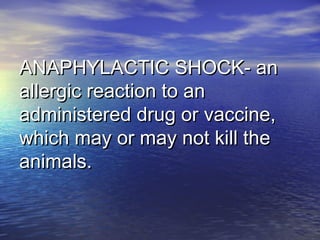 ANAPHYLACTIC SHOCK- anANAPHYLACTIC SHOCK- an
allergic reaction to anallergic reaction to an
administered drug or vaccine,administered drug or vaccine,
which may or may not kill thewhich may or may not kill the
animals.animals.
 