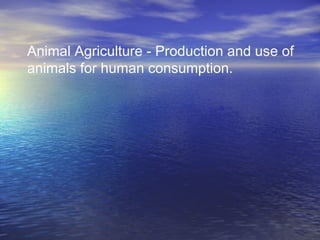 Animal Agriculture - Production and use of
animals for human consumption.
 