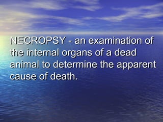 NECROPSY - an examination ofNECROPSY - an examination of
the internal organs of a deadthe internal organs of a dead
animal to determine the apparentanimal to determine the apparent
cause of death.cause of death.
 