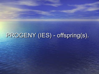 PROGENY (IES) - offspring(s).PROGENY (IES) - offspring(s).
 