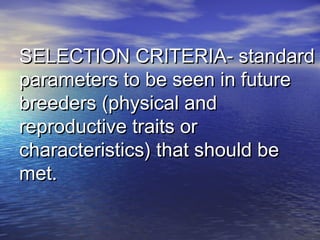 SELECTION CRITERIA- standardSELECTION CRITERIA- standard
parameters to be seen in futureparameters to be seen in future
breeders (physical andbreeders (physical and
reproductive traits orreproductive traits or
characteristics) that should becharacteristics) that should be
met.met.
 