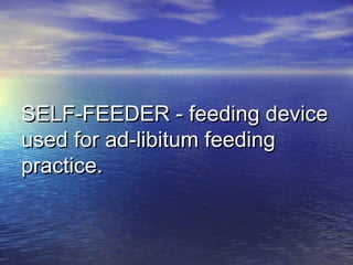SELF-FEEDER - feeding deviceSELF-FEEDER - feeding device
used for ad-libitum feedingused for ad-libitum feeding
practice.practice.
 