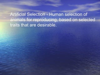 Artificial Selection - Human selection of
animals for reproducing, based on selected
traits that are desirable.
 