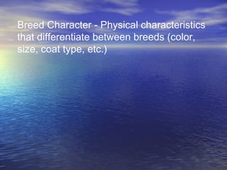 Breed Character - Physical characteristics
that differentiate between breeds (color,
size, coat type, etc.)
 