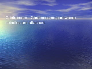 Centromere - Chromosome part where
spindles are attached.
 