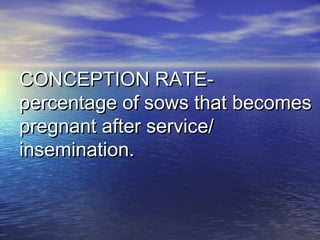 CONCEPTION RATE-CONCEPTION RATE-
percentage of sows that becomespercentage of sows that becomes
pregnant after service/pregnant after service/
insemination.insemination.
 