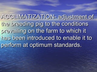 ACCLIMATIZATION- adjustment ofACCLIMATIZATION- adjustment of
the breeding pig to the conditionsthe breeding pig to the conditions
prevailing on the farm to which itprevailing on the farm to which it
has been introduced to enable it tohas been introduced to enable it to
perform at optimum standards.perform at optimum standards.
 