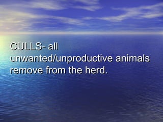CULLS- allCULLS- all
unwanted/unproductive animalsunwanted/unproductive animals
remove from the herd.remove from the herd.
 